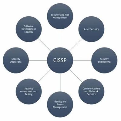 诸子笔会 | 王振东 年度总结 回眸从系统开发到隐私保护的跨行之旅